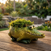 Kicks (Alligator)