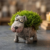 Petunia (Dog)